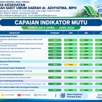 IMPRS Triwulan 2