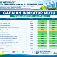 INM Triwulan 1